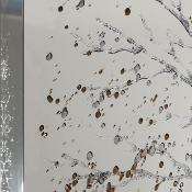 Autumn Tree Mirror ( 100 x 70cm)